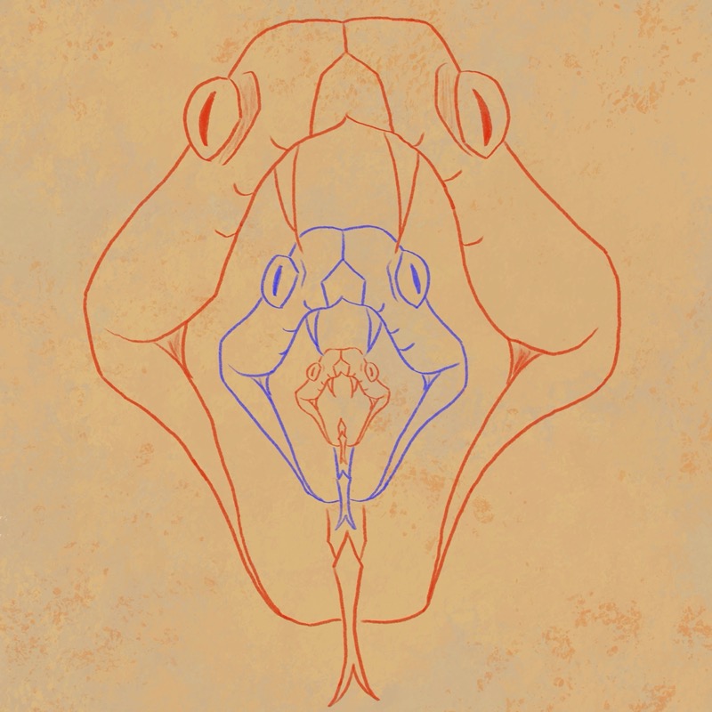 Empty Amens in a Viper's Den — single cover